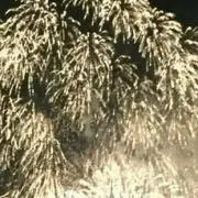 コメント、購入前にプロフィール必読の画像
