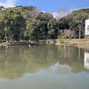 ライトの画像