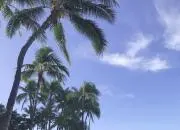 ららの画像