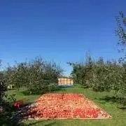 Jyunの画像