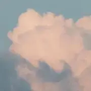 ayの画像