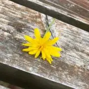 h♡