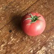 tomato