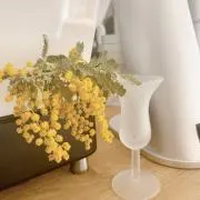 miksiの画像