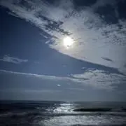 5xellvの画像