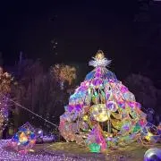 まきゅの画像