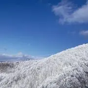 チーズケーキの画像