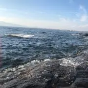 yokiの画像