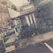 Joe　断捨離中の画像