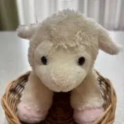 メメーの画像