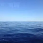 まさの画像