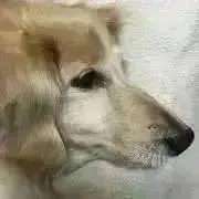 KTMANの画像