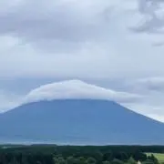 凛の画像
