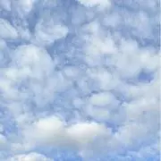ゆの画像