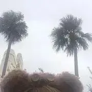 ちぴ¨̮⃝【プロフ必読】の画像