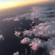 buriの画像