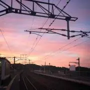purinchanの画像