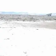 こっとん