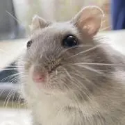 ⭐️ムーン⭐️断捨離中の画像