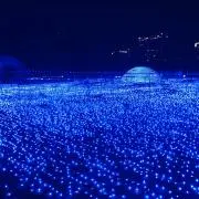てぃんく プロフ必読