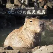 カピバラの画像
