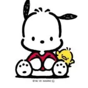 ぽちゃこの画像