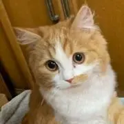 いまち