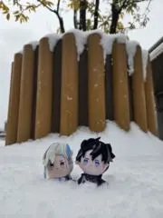 はたきの画像
