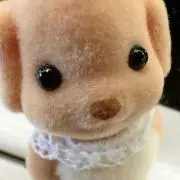 ‪︎m♡の画像