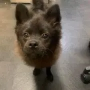 むーむの画像