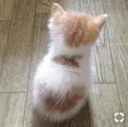 ＊CHECK＊の画像