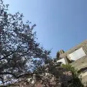 離島ママ⚠️離島のため発送後+1~2日の画像