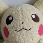断捨離ちゅーうの画像