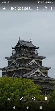 シロの画像