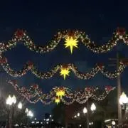 y_iの画像
