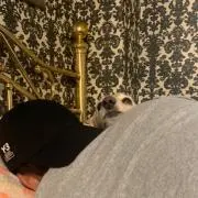 ねるね