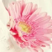Misa