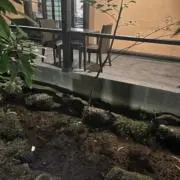 ねむい【希望金額のコメント、助かります】の画像