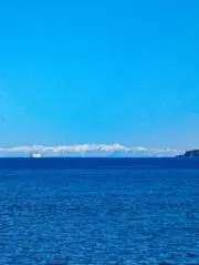 Alisanoboukenの画像
