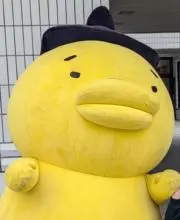 ルミナスの画像