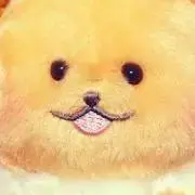ひーの画像