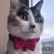 まゆ☆ママ