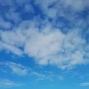 ようちゃんの画像