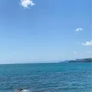 kayoの画像