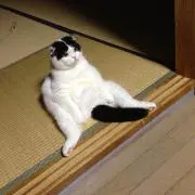 クロちゃんママ