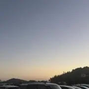 ももの画像