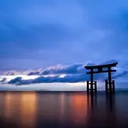 まつきの画像