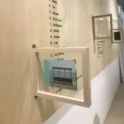 あみ