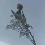 りの画像