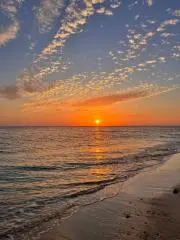 SunSeaLoveの画像